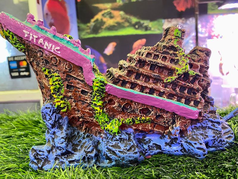 Interior — Aquadunia - The Aquarium Gallery, Pune