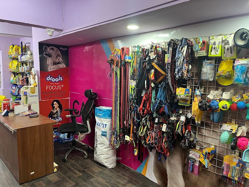 Gallery — Little Paws Pet Grooming Salon, Ulhasnagar