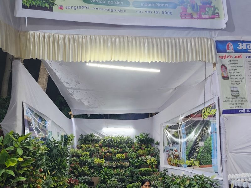 Gallery — San Greens, Pune
