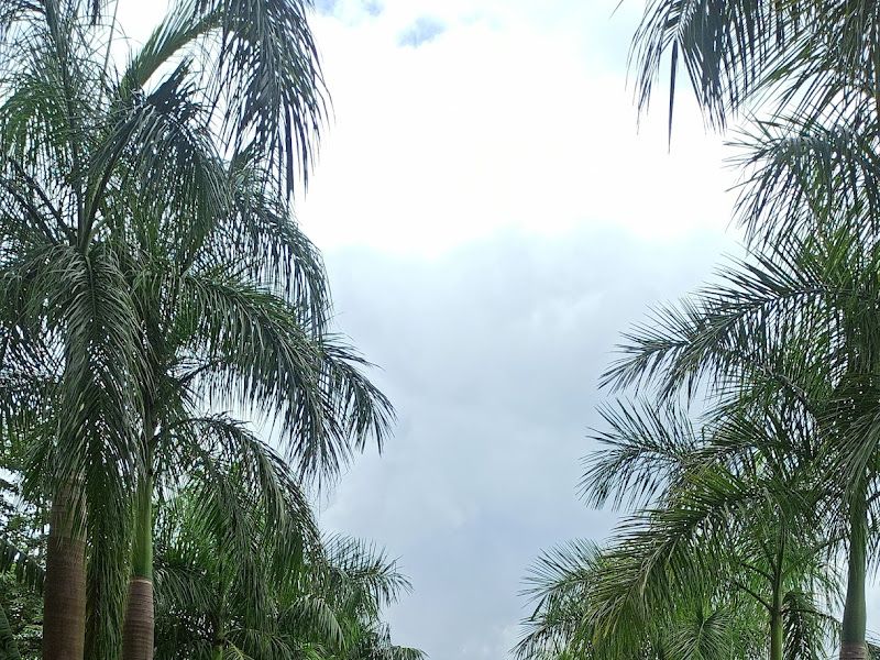 Common area — Green Home Villas, Murbad, District Thane