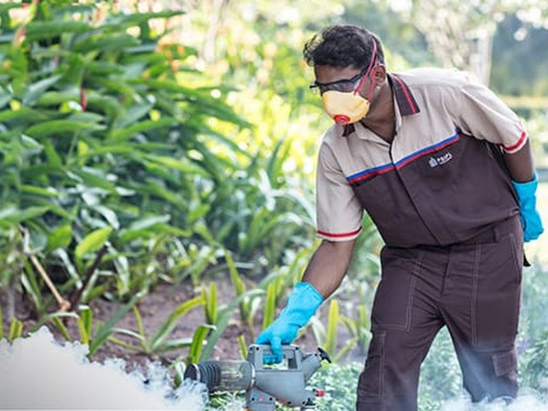At work — N. S Pest Control, Pune