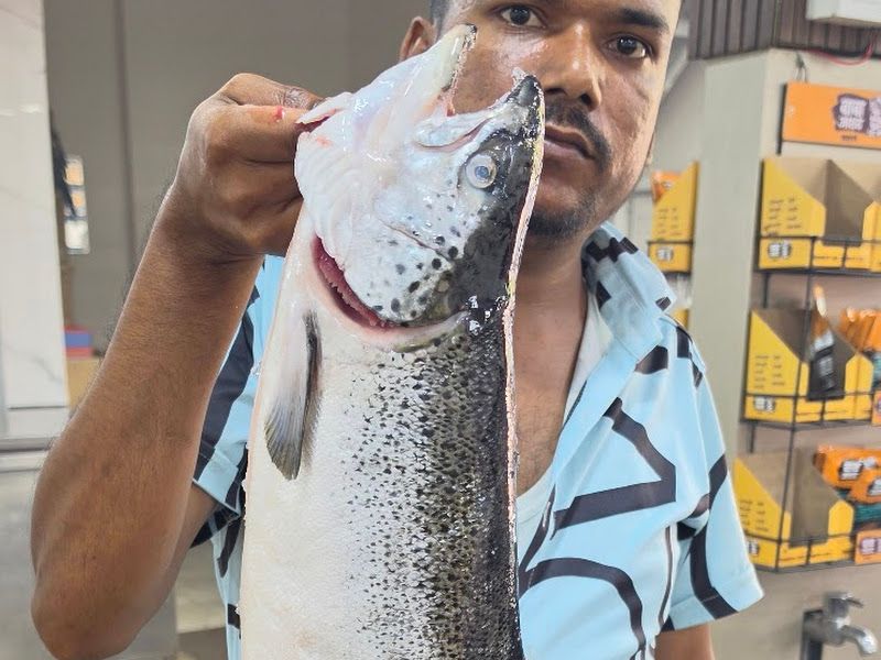 Gallery — Kinaraa Sea Food Restaurant, Pimpri-Chinchwad