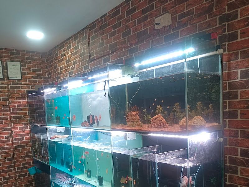 Interior — Fins & Bubbles, Mumbai