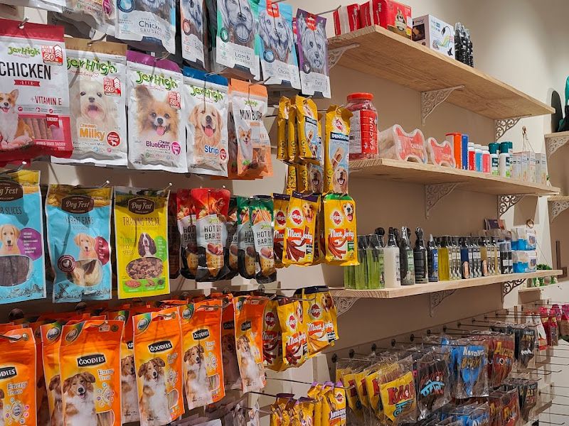 Interior — Pet Ecstasy, Pune