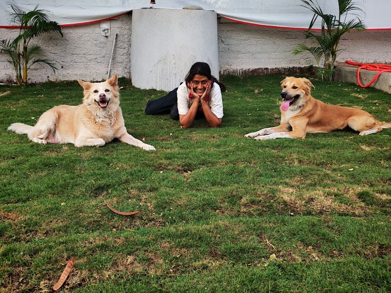Gallery — Blossom Pet Boarding and Grooming Center, Pune