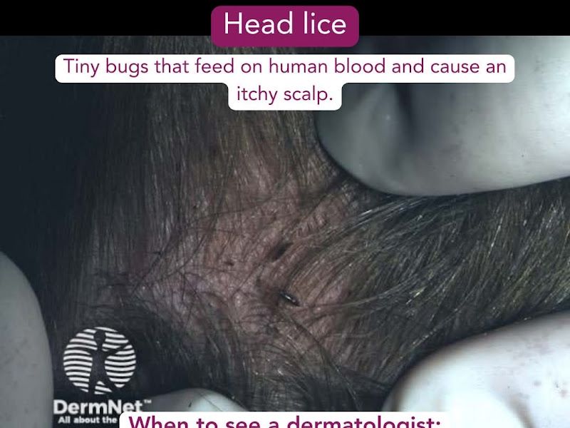 Gallery — Dr. Neeta's Bodysculpt Clinic, Nerul, Navimumbai
