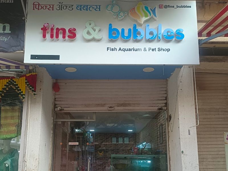 Exterior — Fins & Bubbles, Mumbai