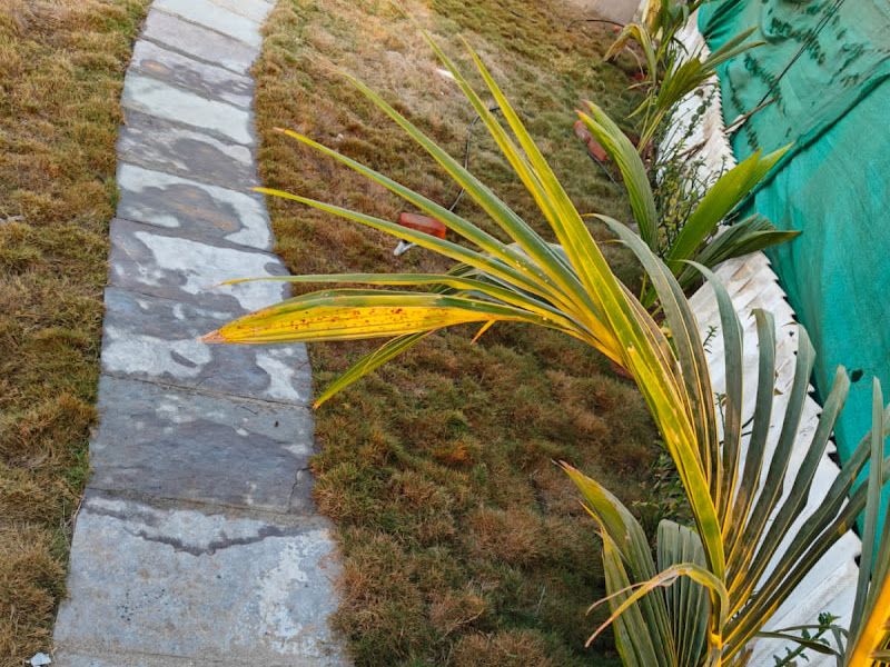 Gallery — Ocean View Villa, Mumbai