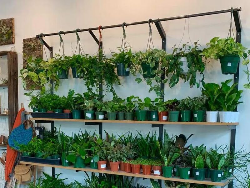 Interior — San Greens, Pune