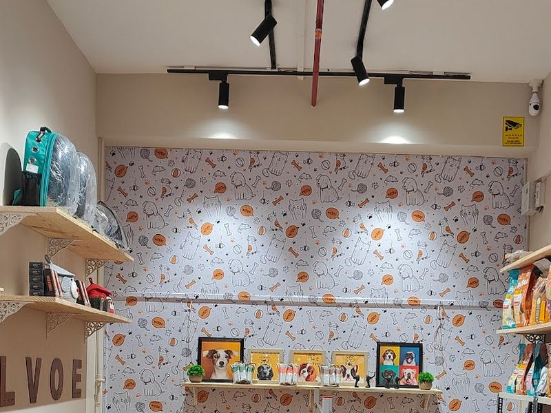 Interior — Pet Ecstasy, Pune