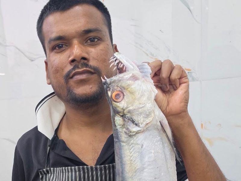 Gallery — Kinaraa Sea Food Restaurant, Pimpri-Chinchwad