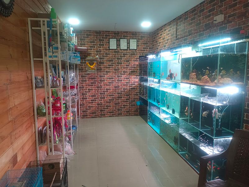 Interior — Fins & Bubbles, Mumbai