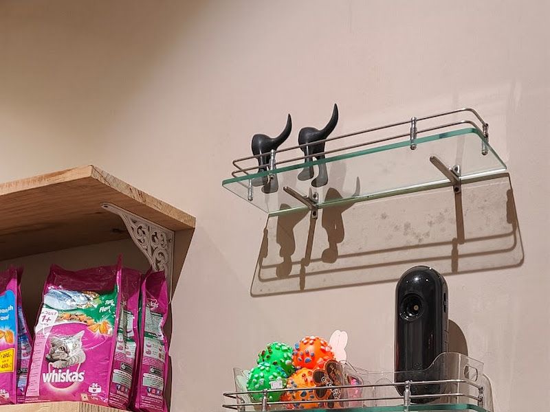 Interior — Pet Ecstasy, Pune