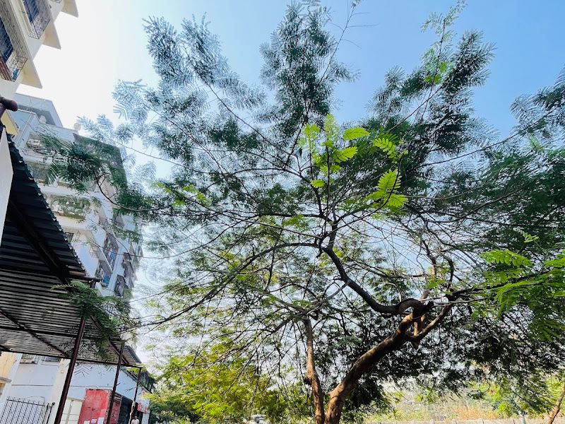 Gallery — Garib Nawaz PVC Shop, Mira Bhayandar