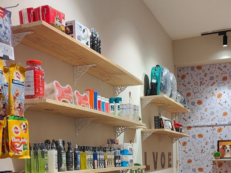 Interior — Pet Ecstasy, Pune