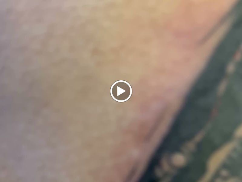 Gallery — Zayn Ink Tattoo Studio, Mumbai
