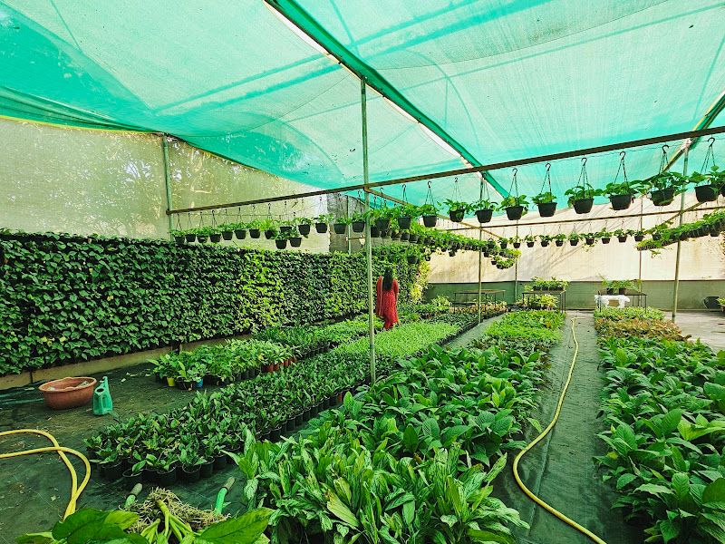Gallery — San Greens, Pune