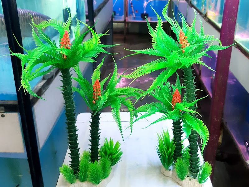 Interior — Pets Magic Aquarium & Pet Shop, Pune