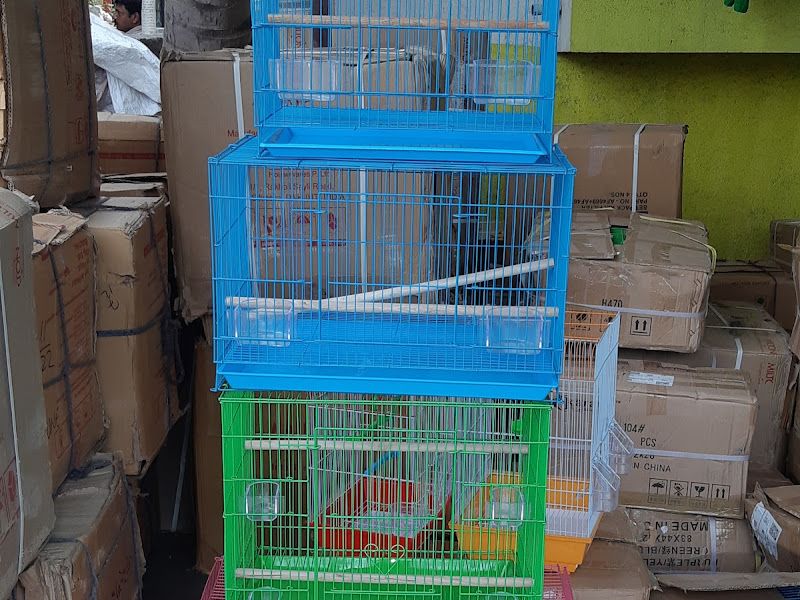 Products — Pets Magic Aquarium & Pet Shop, Pune