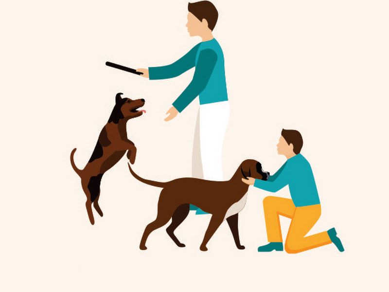 Gallery — Jigar Pets, Mumbai