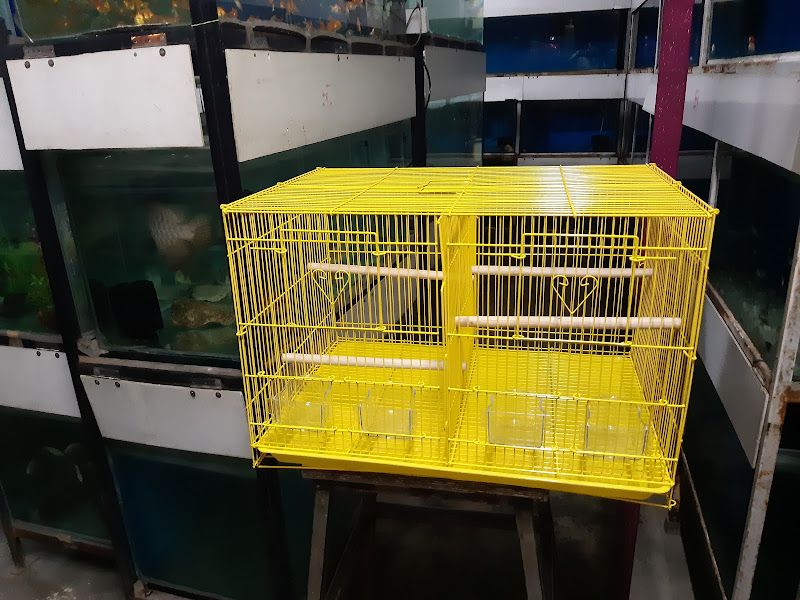 Products — Pets Magic Aquarium & Pet Shop, Pune