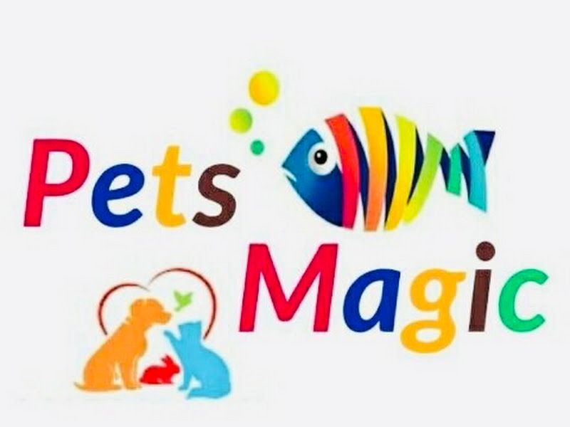 Gallery — Pets Magic Aquarium & Pet Shop, Pune