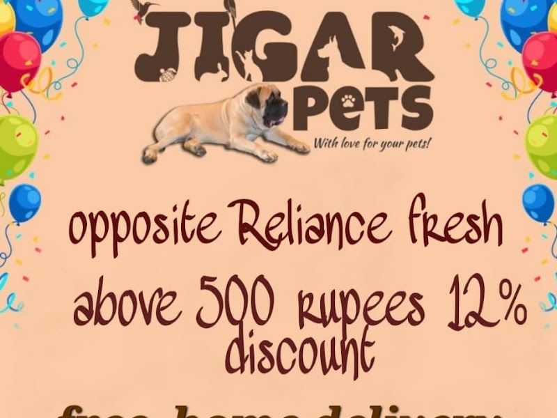 Interior — Jigar Pets, Mumbai