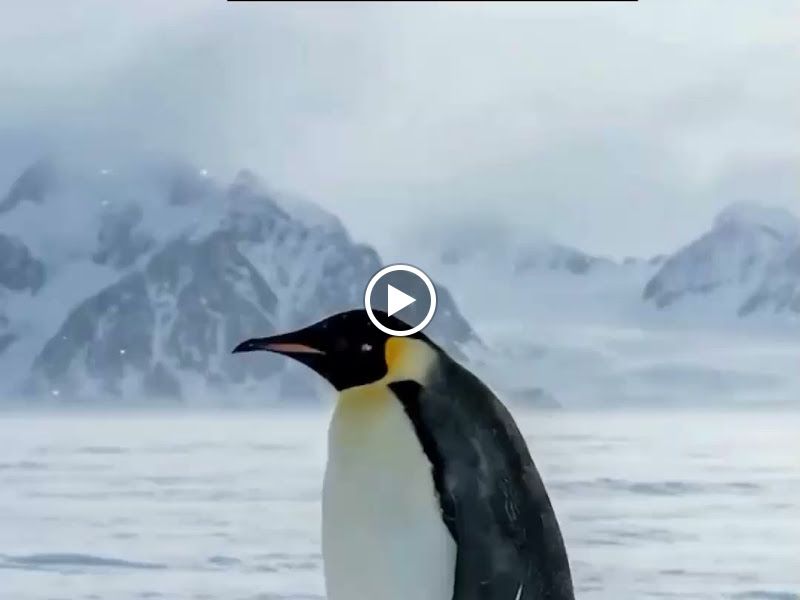 Gallery — Ved Enterprises, Pune