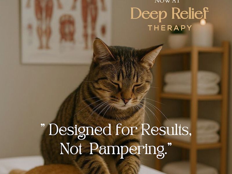 Gallery — Deep Relief Massage Therapy, Pimpri-Chinchwad