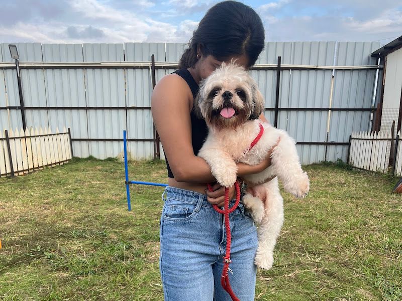 Gallery — Petpals Club, Pune