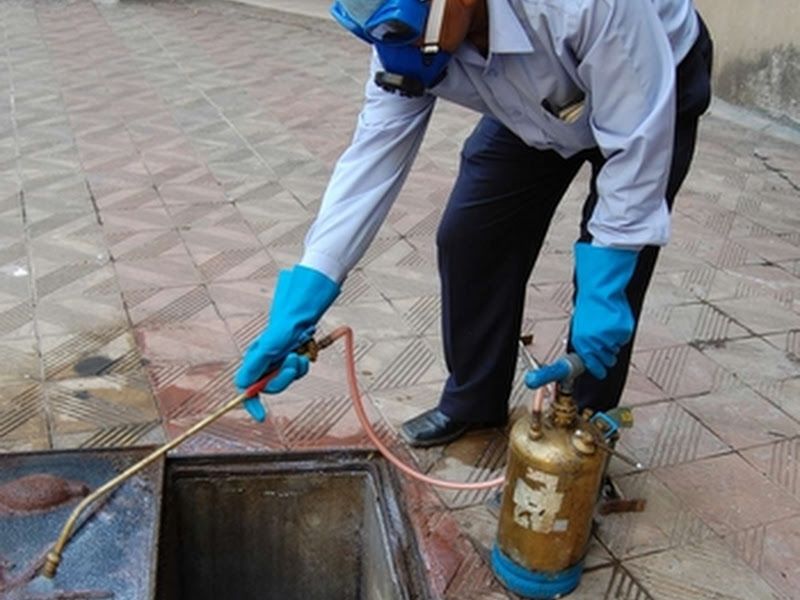 Gallery — N. S Pest Control, Pune