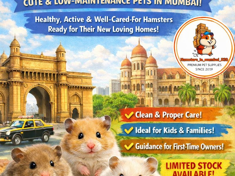 Exterior — Hamsters, Thane