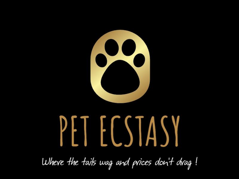 Gallery — Pet Ecstasy, Pune