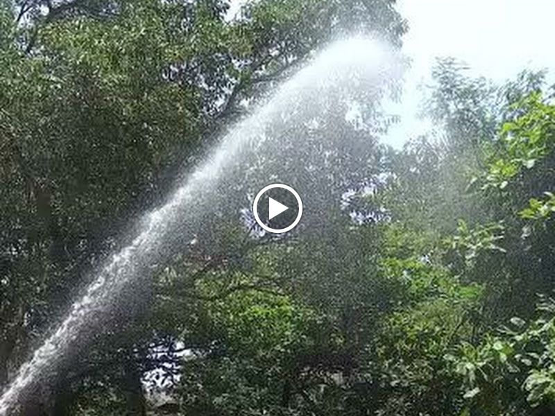 Gallery — Cefex Fire Services, Mumbai