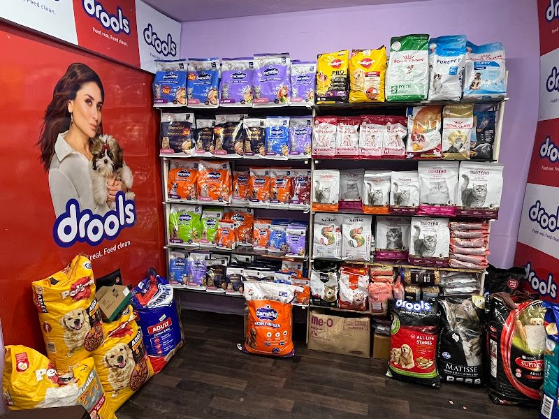 Gallery — Little Paws Pet Grooming Salon, Ulhasnagar