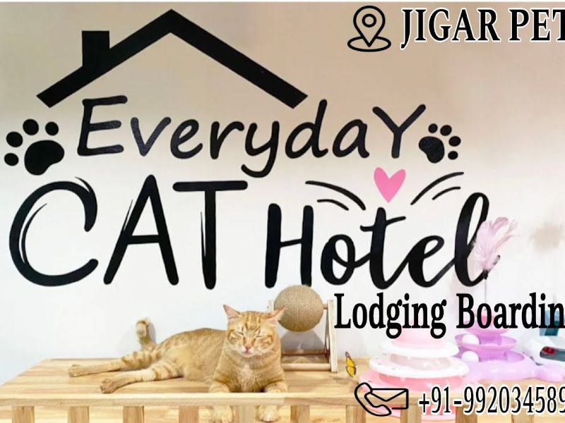 Interior — Jigar Pets, Mumbai