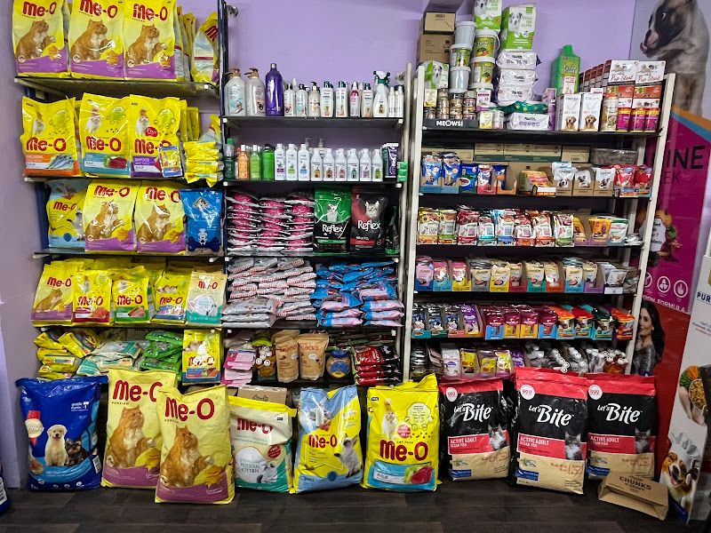 Gallery — Little Paws Pet Grooming Salon, Ulhasnagar