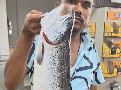 Kinaraa Sea Food Restaurant — Seafood restaurant in Pimpri-Chinchwad