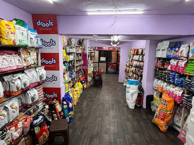 Gallery — Little Paws Pet Grooming Salon, Ulhasnagar