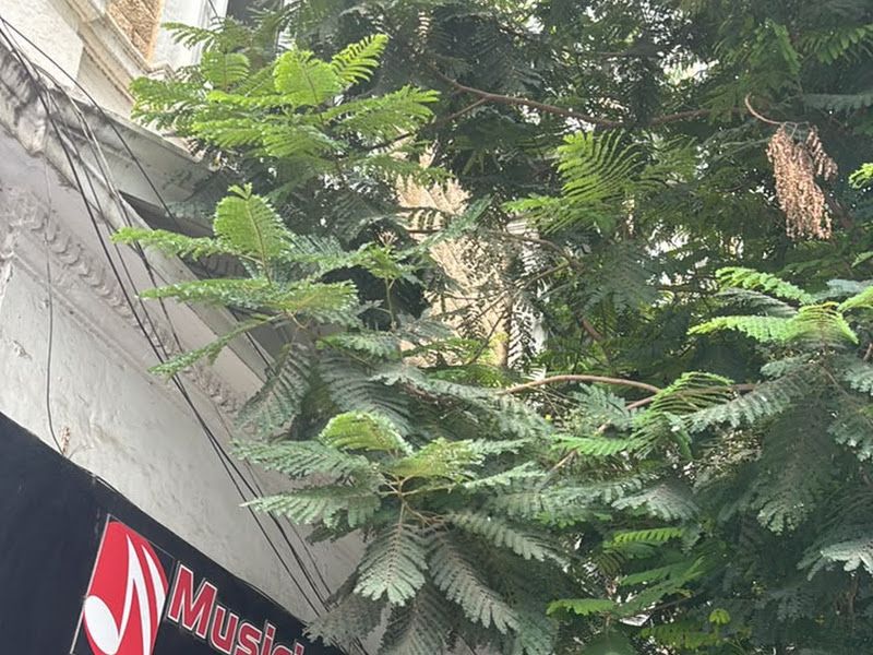 Exterior — Musicians Mall, Mumbai