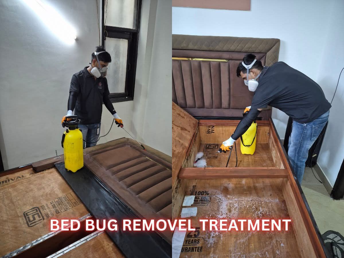 Exterior — Radhe Pest Control, Pla, Hisar