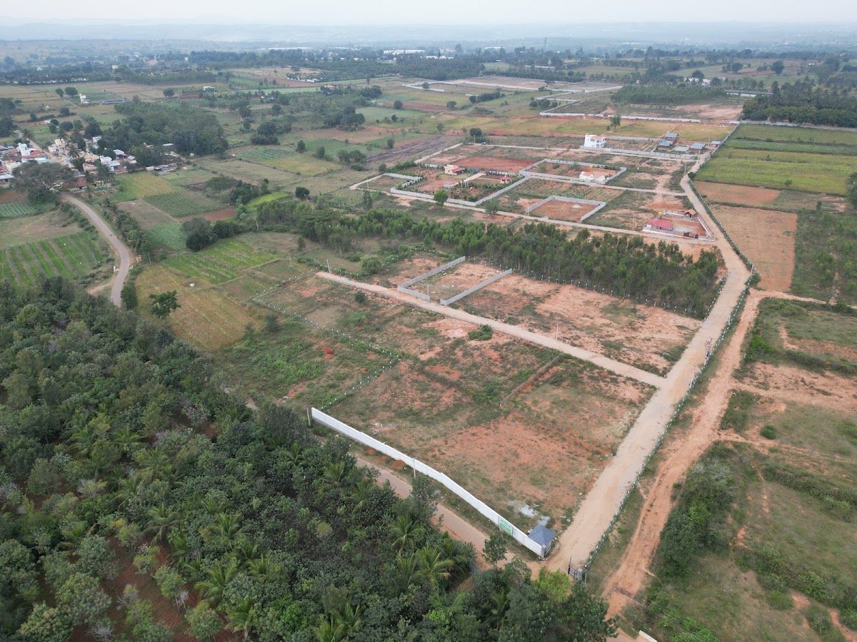 Gallery — Navishka Farms, Denkanikottai
