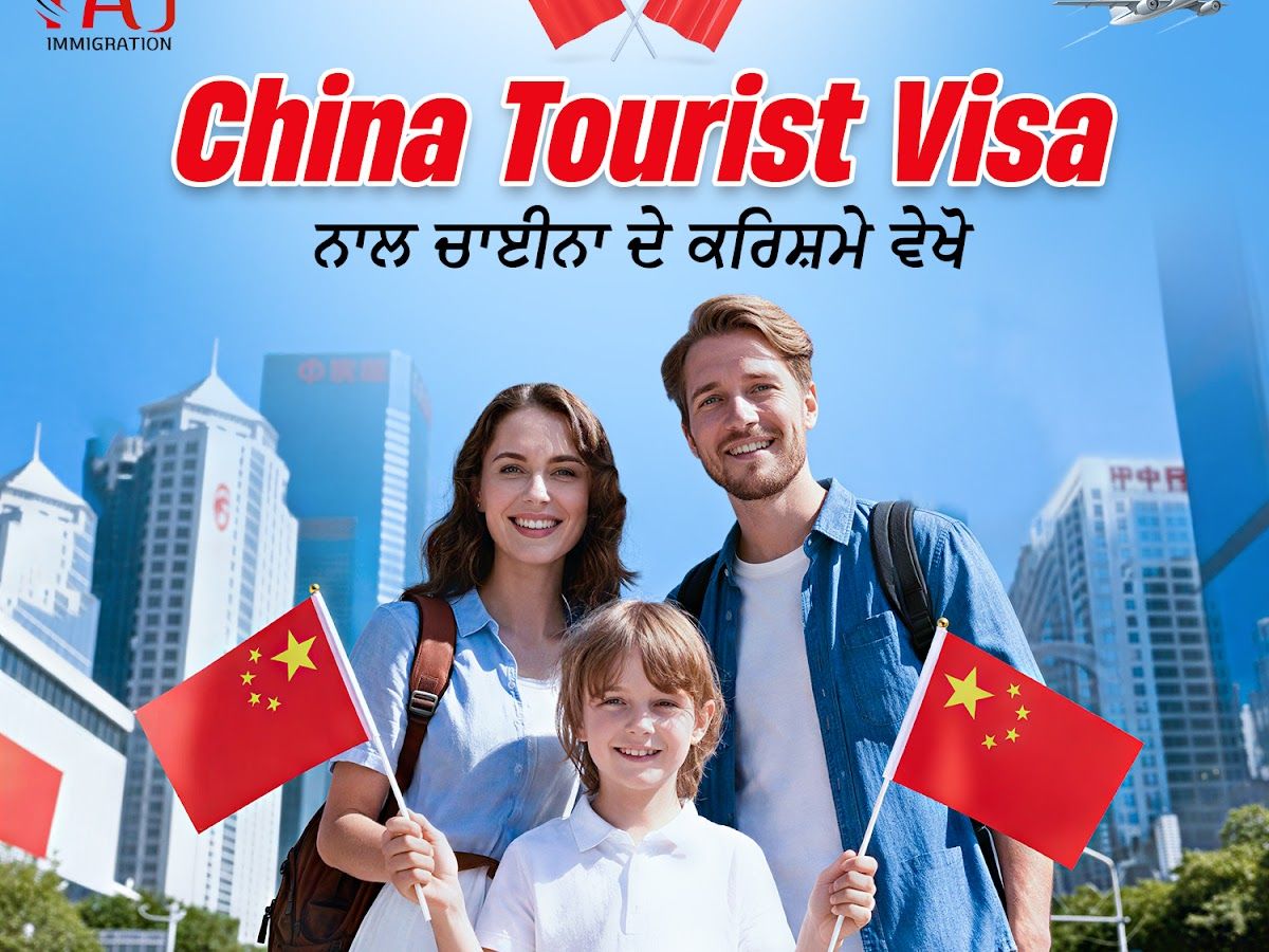 Gallery — TS Immigration Consultant Zira – Best Visa & PR Services in Punjab, Zira
