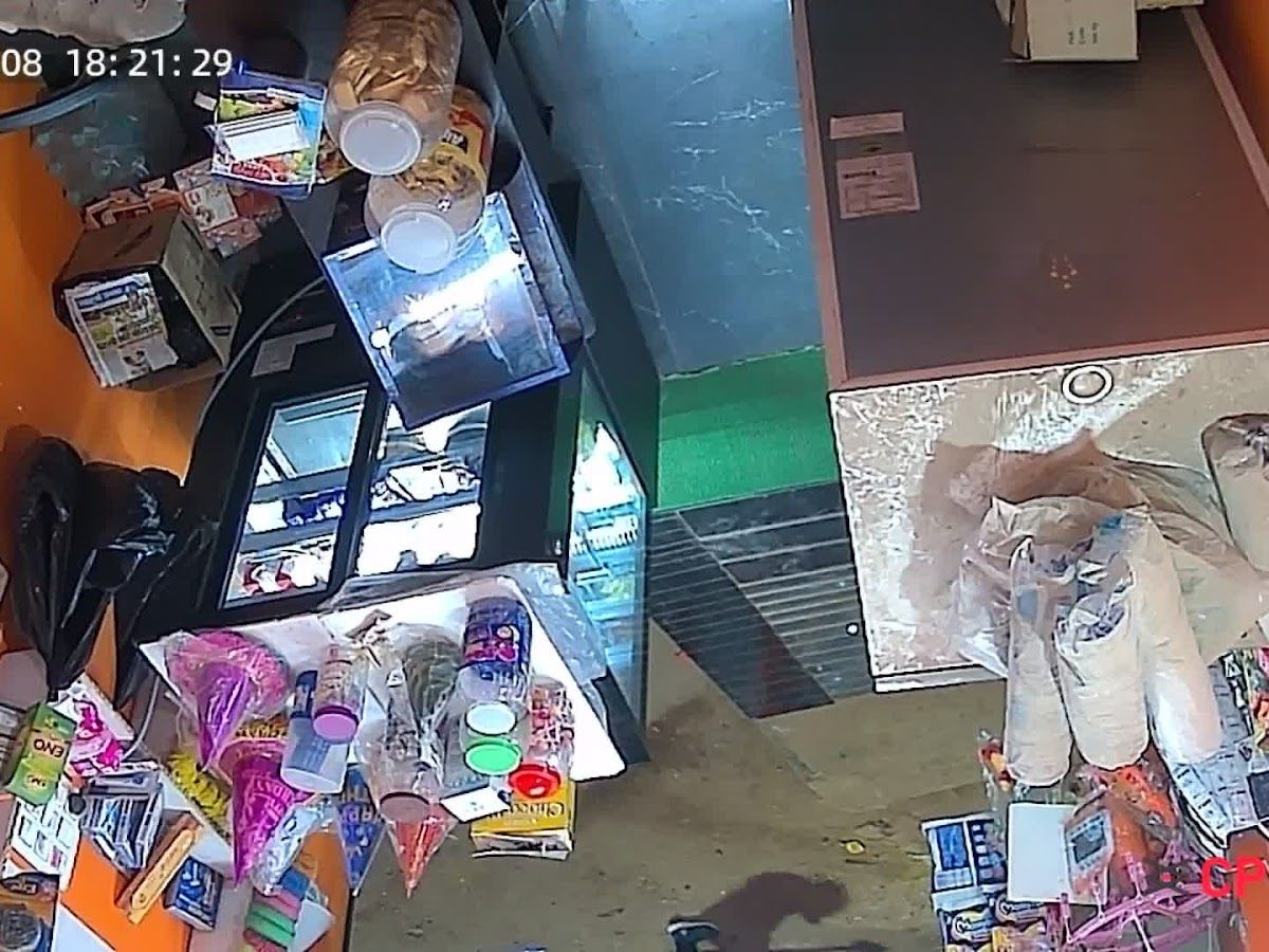 Interior — Cake Supremo, Mahatma Gandhi Nagar, Arrah