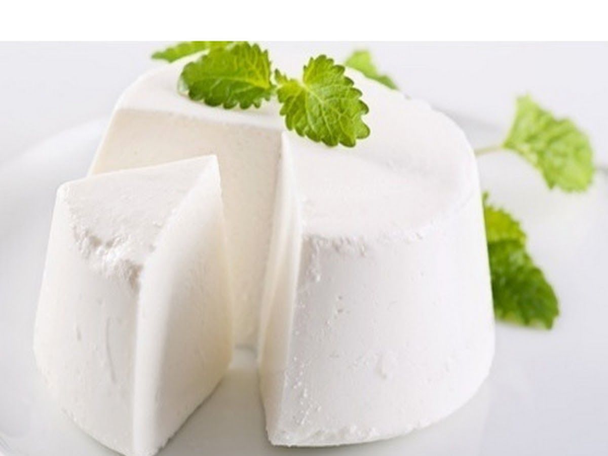 Food & drink — SATVIK MILK MILK PRODUCT, Opp To Mauli Complex