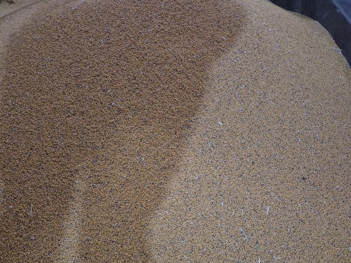 Gallery — Shree ji mustard oil mill, Penti Khera