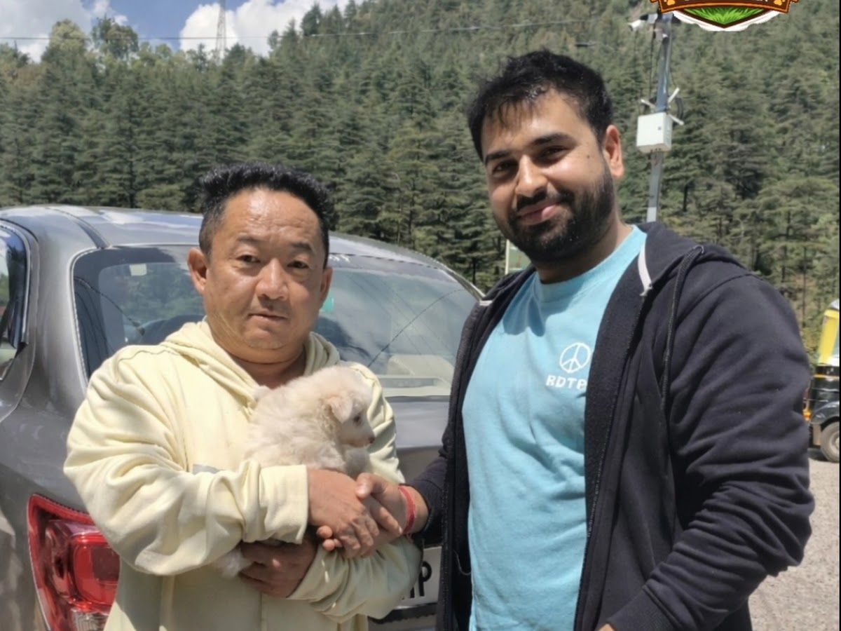 Gallery — Pet paradise dharamshala, Dharamshala