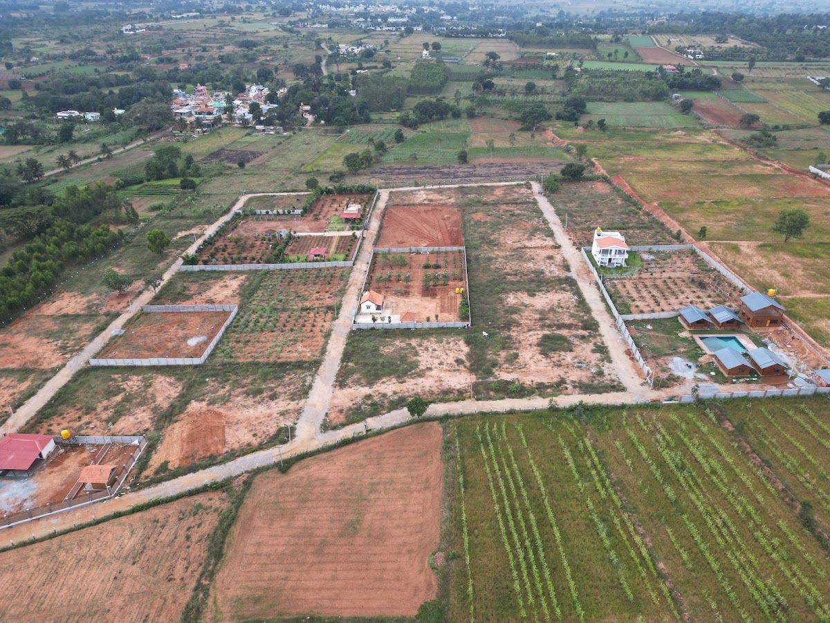 Gallery — Navishka Farms, Denkanikottai