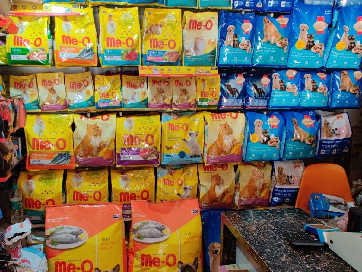 Gallery — Paws 4 pets, Chaitanya Nagar, Hubballi