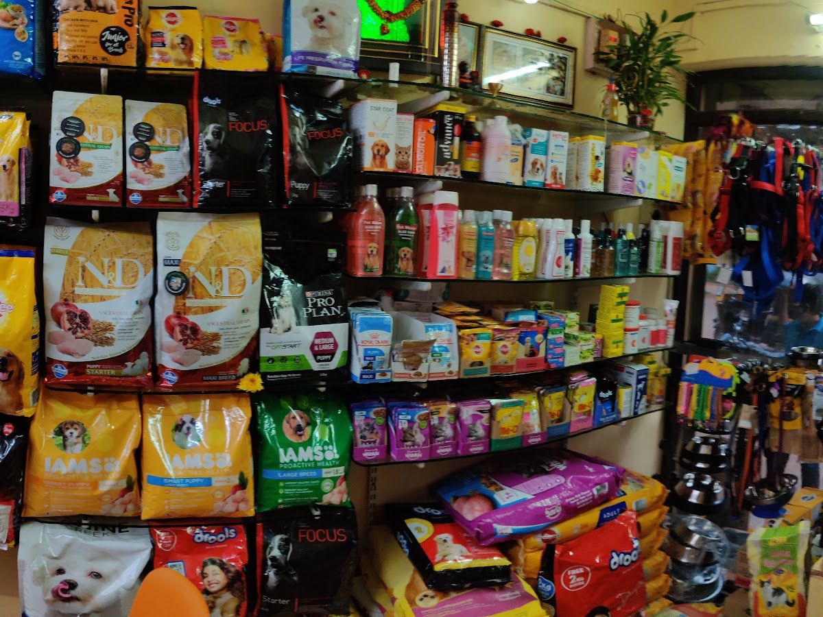 Interior — Paws 4 pets, Chaitanya Nagar, Hubballi